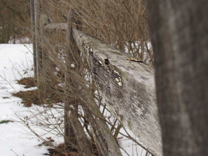 close fence